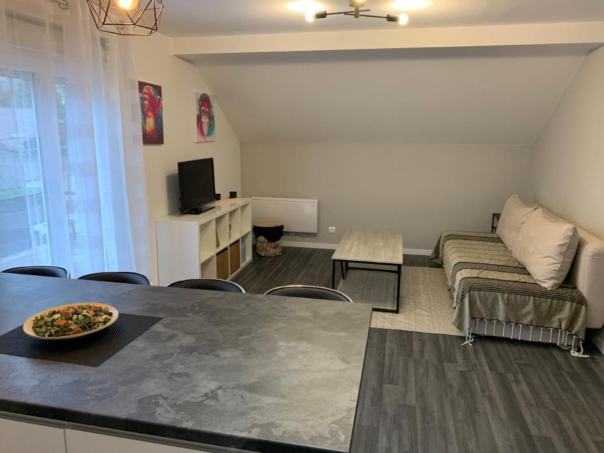Coquet Appartement Aux Pieds Des Montagnes Scionzier Exterior foto